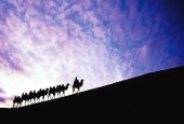 “一带一路”基础设施投资空间超10万亿美元